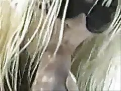 De mannen in de keuken hebben de keuken van harde pornofilms oralse.